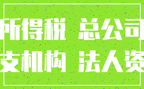 所得税 总公司_分支机构 法人资格