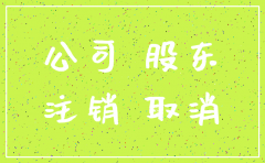 有限公司不注销股东承担责任