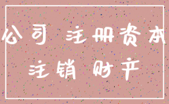 注销公司注册资本抽逃立案标准