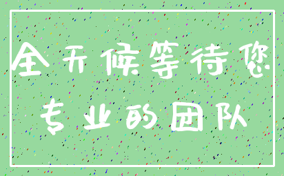 全天候等待您_专业的团队
