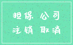 p2p公司担保公司注销