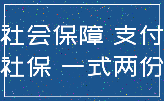 社会保障 支付_社保 一式两份