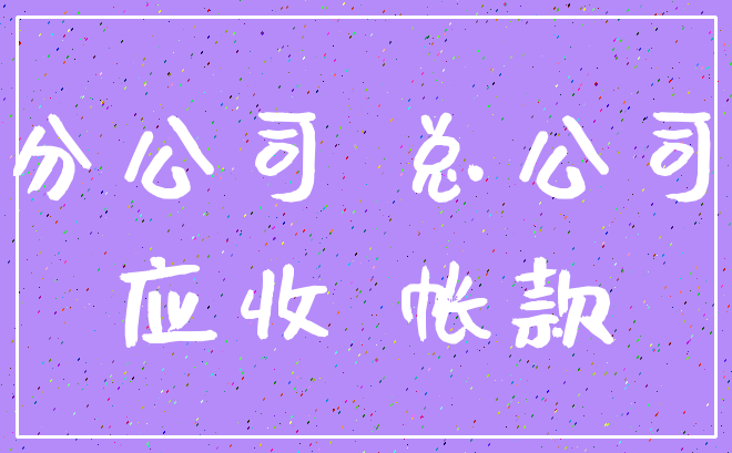 分公司 总公司_应收 帐款