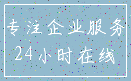 专注企业服务_24小时在线