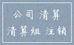 公司注销长投处理