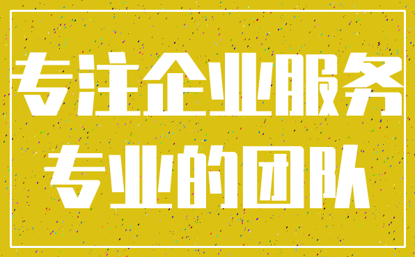 专注企业服务_专业的团队