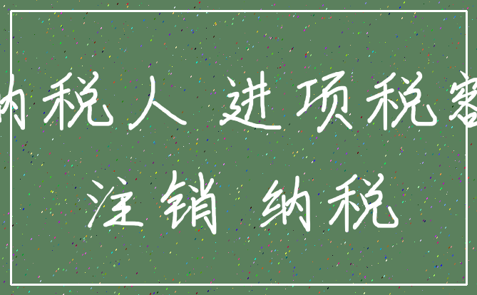 纳税人 进项税额_注销 纳税