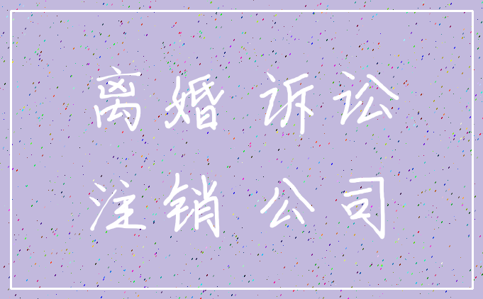 离婚 诉讼_注销 公司