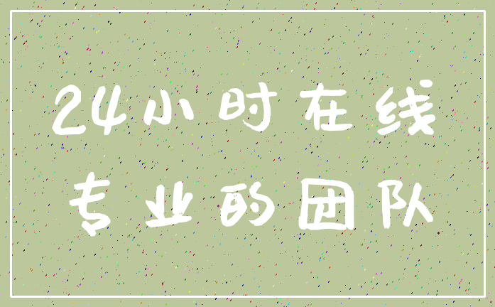 24小时在线_专业的团队