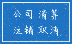 分公司注销公告登报