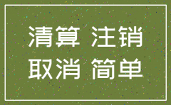公司简易注销表怎么填