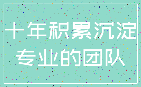 十年积累沉淀_专业的团队