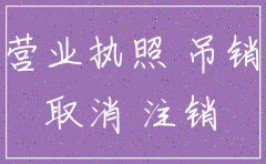 注册的公司吊销后怎么注销