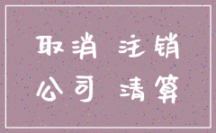 深圳公司注销流程及资料