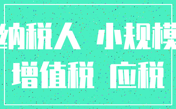 纳税人 小规模_增值税 应税