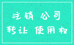 公司注销土地使用权是否存在