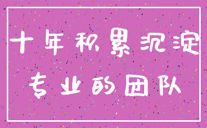 十年积累沉淀_专业的团队