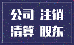 通知股东注销公司