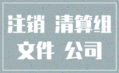 公司注销清算组表格