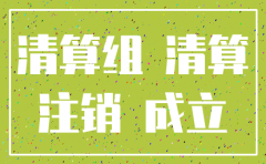 公司注销怎样成立清算组
