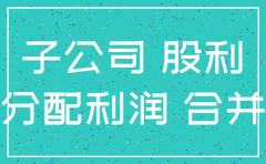 注销子公司 利润表 合并