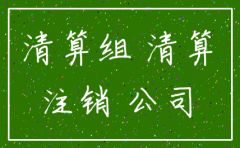 分公司注销清算组成立文件