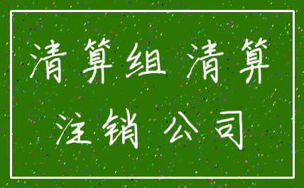 清算组 清算_注销 公司