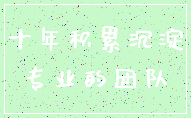 十年积累沉淀_专业的团队
