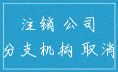 嘉兴分公司注销需要那些资料