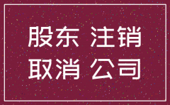 山西公司注销股东决议范本