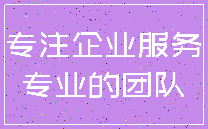 专注企业服务_专业的团队