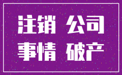 公司注销汽车额度多少