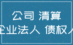 诉讼期间公司注销程序