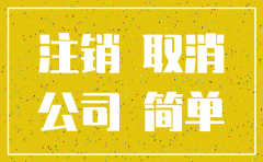 注销没有开业公司流程