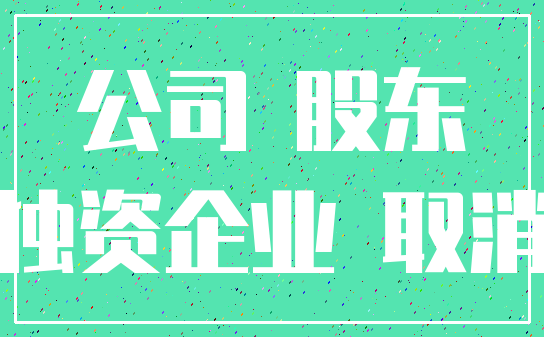 公司 股东_独资企业 取消