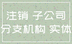 销售子公司注销前审计