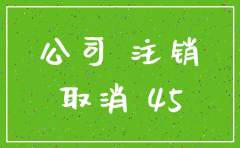 注销微型公司费用多少