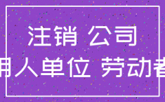 注销公司的撤资证明