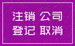公司注销原因20是什么意思