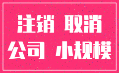小规模公司注销报告