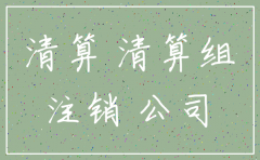 分公司注销债务诉讼管辖法院