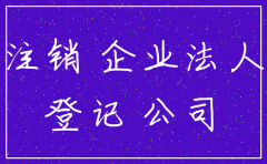 公司企业法人注销登记档案