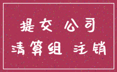之前注册了一家公司现在想注销