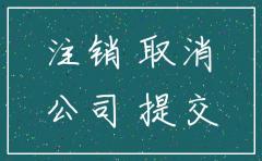成都公司网上简易注销