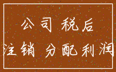 公司亏损注销利润分配
