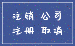 公司注销纳税评估