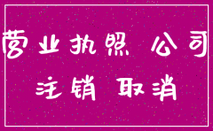 小规模公司注销费用大概是多少钱