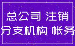 分公司注销后盈利