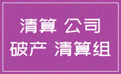 公司清算 股东已注销