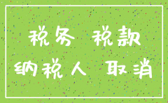 公司注销税务局查什么